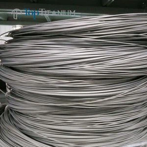 Ti6Al4V Titanium Wire
