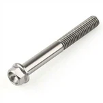 Titanium Hex Flange Bolt