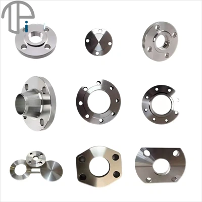 EN1092-1 Titanium Flange